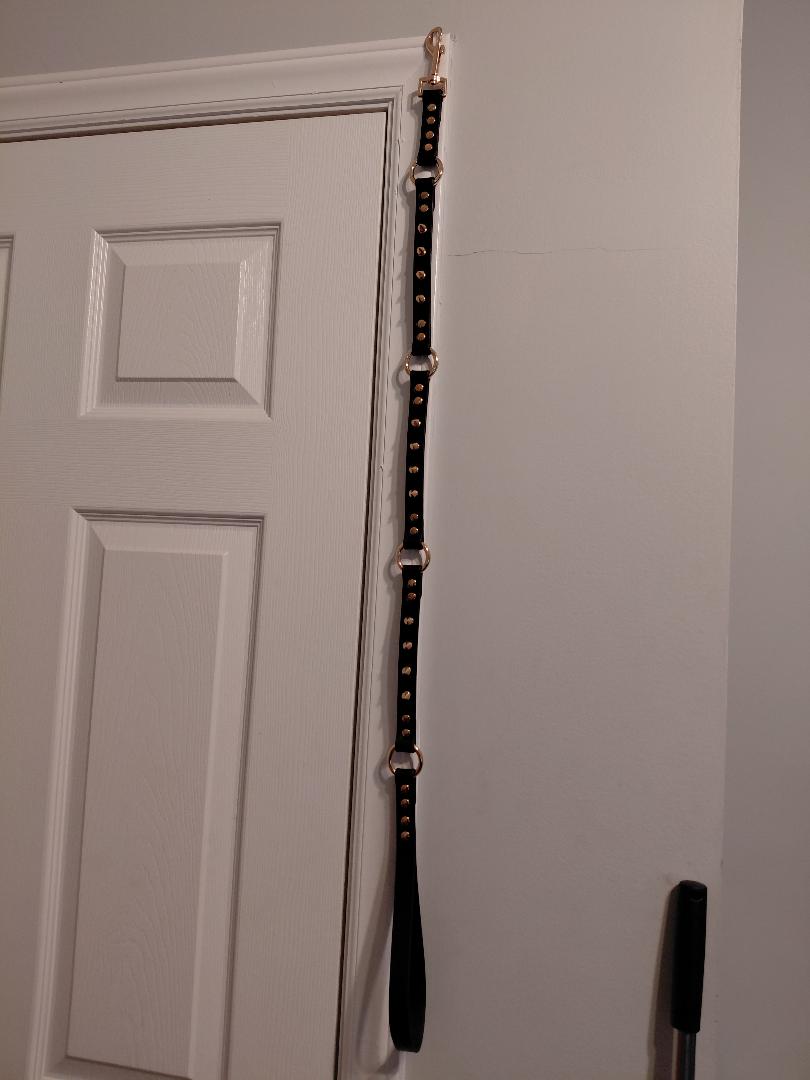 Custom Leash